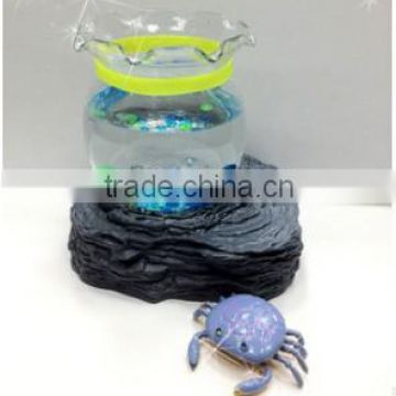 plastic mini aquarium