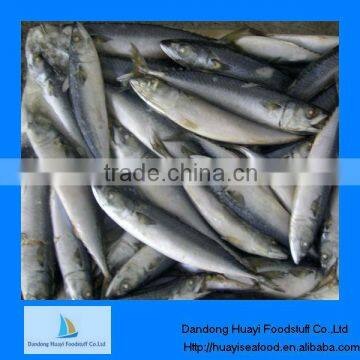 frozen fish pacific mackerel types of seafood