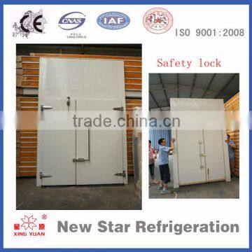 Semi-hinged full hinged swing door cold room door customized