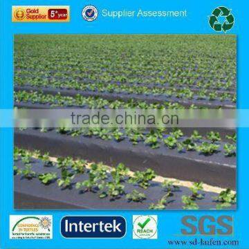 agriculture nonwoven PP fabric for protect plant / ground / vegetation