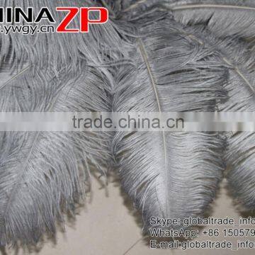 CHINAZP Factory Exporting Leading Bulk Sale Colored Stripped Silver Grey Large Ostrich Feathers for Weddings photo-6