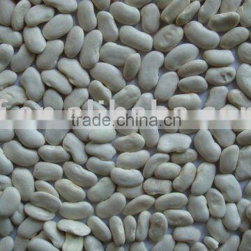 2015 new crop flat white kidney bean(712)