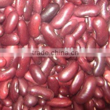 dark red kidney bean