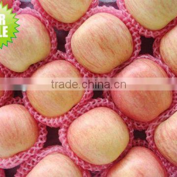 Red decilious apple