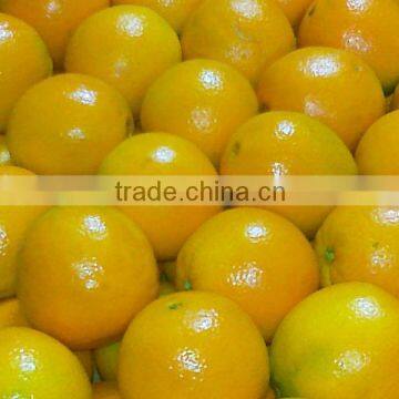 Imagine Valanica Orange