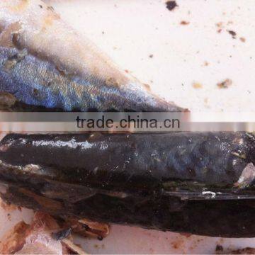 canned mackerel