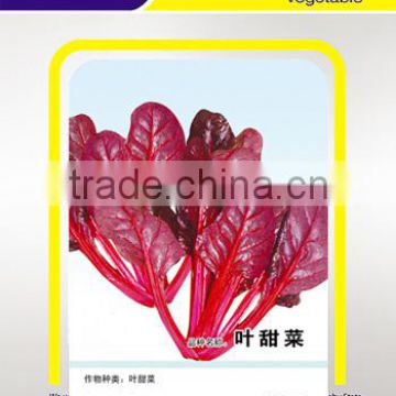 Chinese sweet vegetable hybrid cabbage Seeds red vegetable seeds for sale-red vegetables