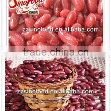 Top Quality Canned Red Kidney Beans in Can