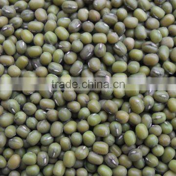 Myanmar green mung bean