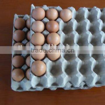 2015 wholesales paper pulp egg tray