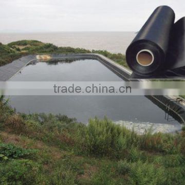 HDPE Geomembrane