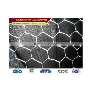 Professiona Manufacturer Plastic Coated Metal Cage Heavy Hexagonal wire netting