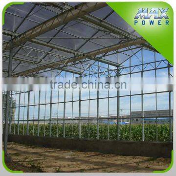 High Quality Venlo Steel Glass Greenhouse photo-4