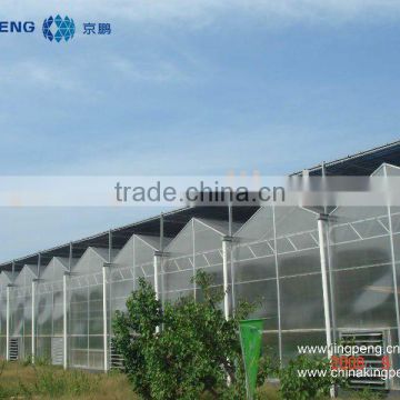 Polycarbonate Greenhouse