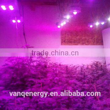 300w Grow Light Vanq Waterproof Hydroponics Led Plant High Power Indoor Lamp photo-4