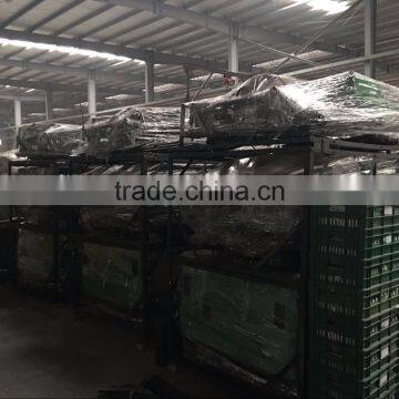 New Six People Bajaj Three Wheel Passenger Tricycle KW200ZK-3A photo-5