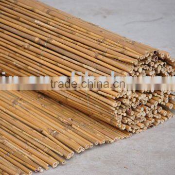 natural bamboo fence