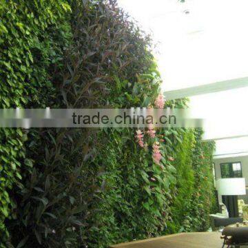 factory price high quality fake green walls/vertical wall for decoration