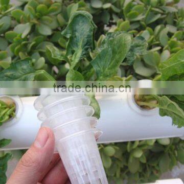 30mm Diameter Garden Plants Hydroponic Grow System Net Pot PP Mesh Cup photo-2
