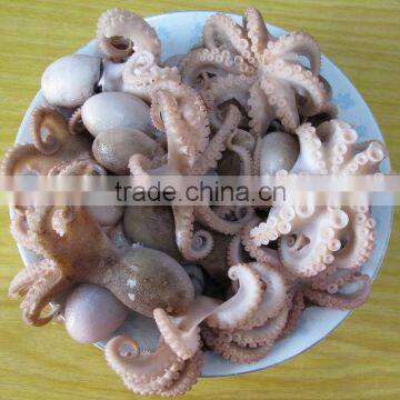 Octopus Variety Baby Octopus Size 60-80