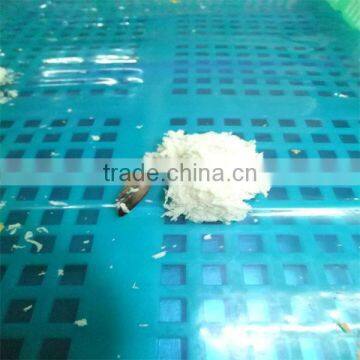 best season frozen wholesale shrimp