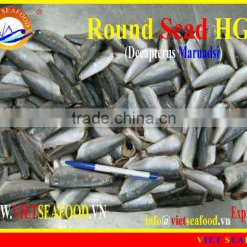 FROZEN ROUND SCAD HGT photo-3