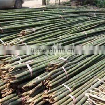 Bamboo Poles/bamboo Canes From Chinese Factory photo-2