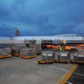 100 Cotton Plain Blank Heat Transfer Softtextile Polo T-Shirt photo-5