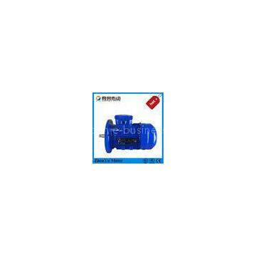 OEM Three phase electric induction motors Energy - saving with CCC CE