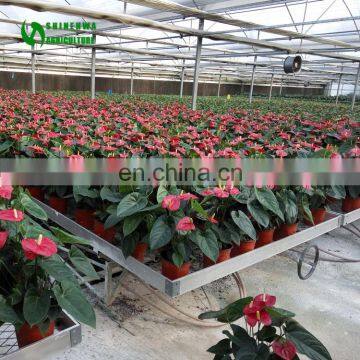 New Galvanized Fence Mesh Wire Netting Seedling Nets For Glass Greenhouse photo-4