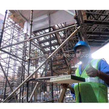Osha Pine LVL Scaffold Plank Timber For Dubai/Damman/Jeddah photo-5