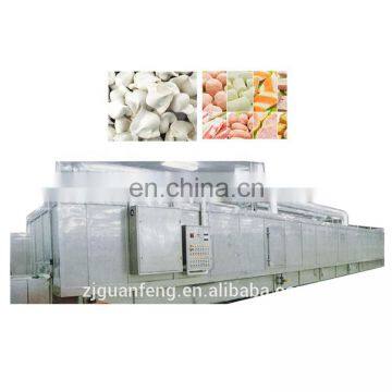 CE certificated stainless steel iqf blast tunnel freezer machinery for fruits