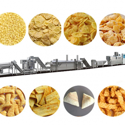 Extruded Snack Manufacturing Equipment photo-3