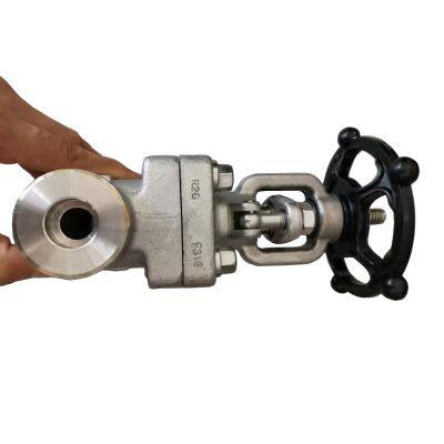 Economical ANSI Forged Globe Valve Sizes 1/4