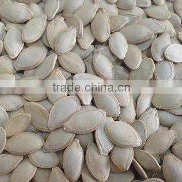 Snow white pumpkin seeds