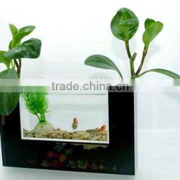 desktop mini multi-use acrylic aquarium,clear fish tank with black U shaped flowerpot