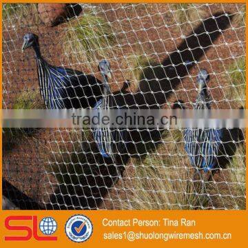 7x7 Structure 1.6mmx60x104mm Ferruled & Knotted Type Flexible Stainless Steel Cable Net photo-4