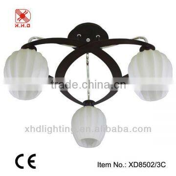 New modern ceiling lamp /decoration chandelier lighting fixture