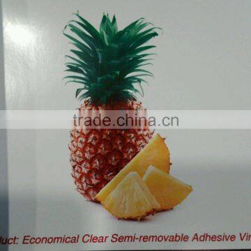 Economical Clear Semi-removable Adhesive Vinyl