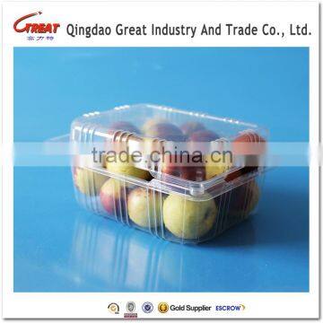 Clear Transparents Clamshell Blister Plastic Fruit Packaging Container 350Gram photo-3