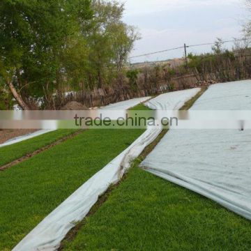 PP spunbond non woven fabric for agriculture, Breathable agriculture nonwoven fabric for vegetable,fruit