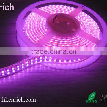 Pink Color Led Strip Light Double Line Leds 120pcs photo-3