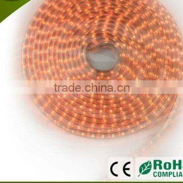 SMD3528/5050 Super bright color temperature 2700k led strip lighting