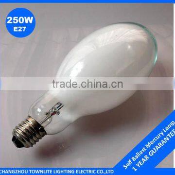 brazil store self ballast mercury lamp 250w