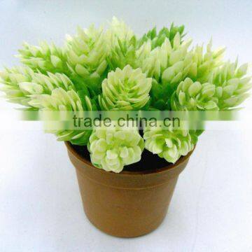 H11cm Plastic New Cone Pine Potted Flowers for Table Decoration