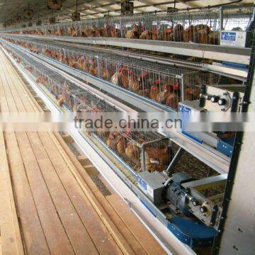 chicken farm equipment auto egg collecting system
