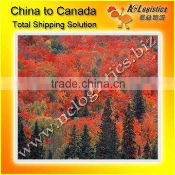 sea freight shipping cost from guangzhou Ningbo to TORONTO,Canada