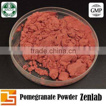 GMP Factory Supply Pomegranate Powder for Pomegranate Juice