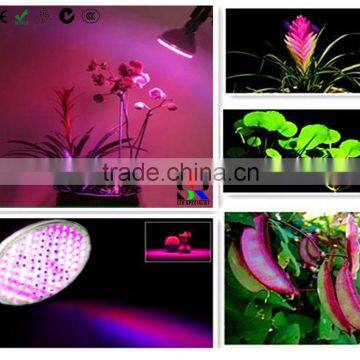 Best Selling Low and High Watt Power Par20 Par30 Par38 Global Bulb Led Plant Grow Light Red Plus Blue Full Spectrum Grow Light