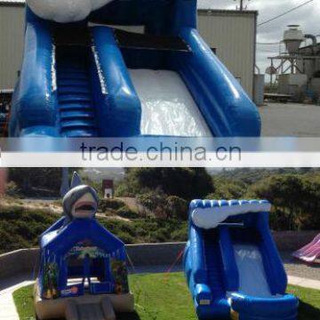 13ft Inflatable Little Surf Slide Dry or Wet